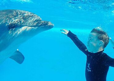 Schwimmen mit Delphine in Hurghada
