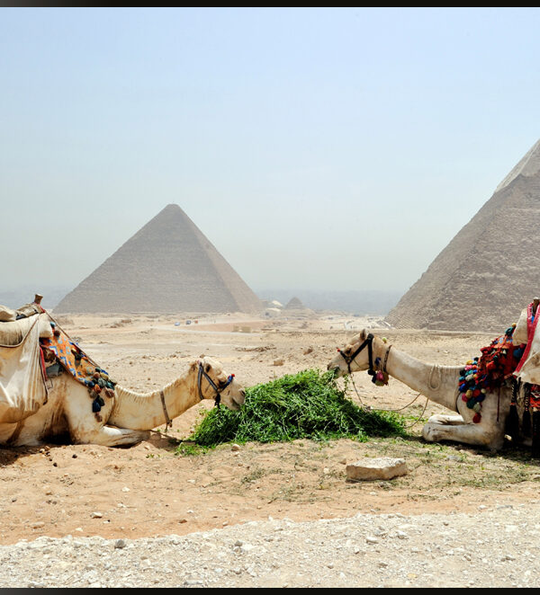 Hurghada Pyramiden Ausflug Flugzeug