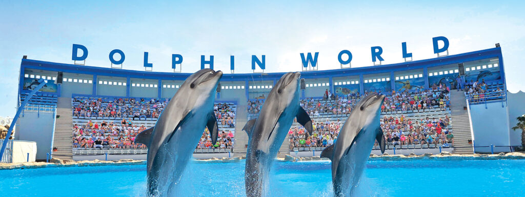 Delfinarium Hurghada