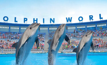 Delfinarium Hurghada