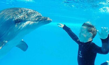 Delfinarium Hurghada