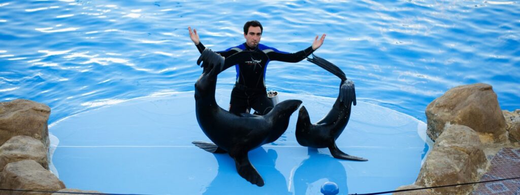 Delfinarium Hurghada