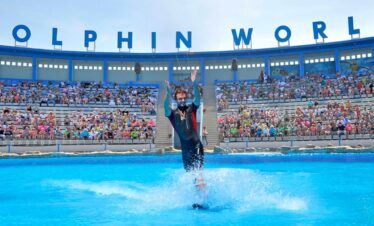 Delfinarium Hurghada