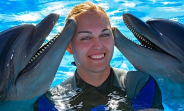 dolphin-house-schnorcheln-marsa-alam