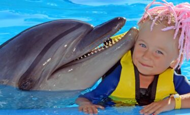 Delfinarium Hurghada