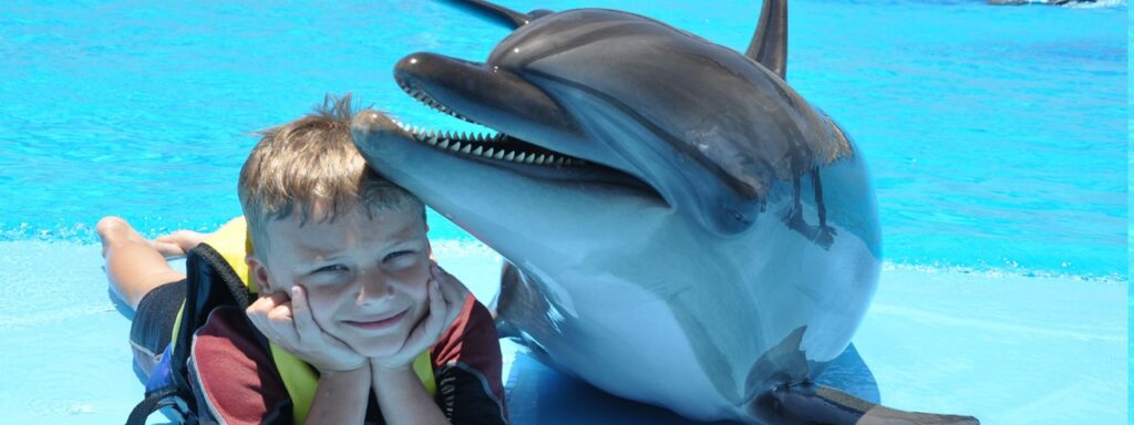 Delfinarium Hurghada