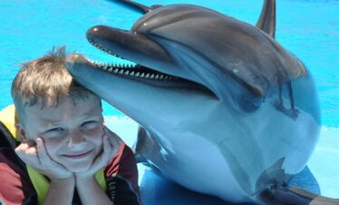 Schwimmen mit Delphine in Hurghada