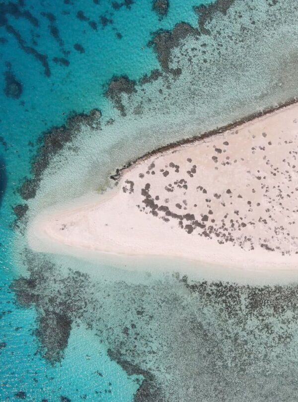 Hamata Inseln Schnorcheln