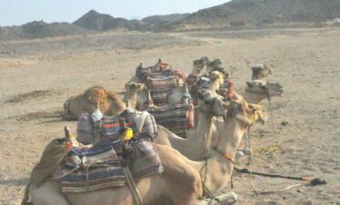 Jeep Safari durch die Wüste