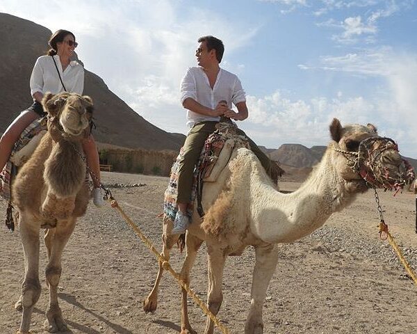 Private Quad Fahren in Marsa Alam
