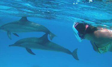 Schnorcheltour Sataya Reef ab Marsa Alam