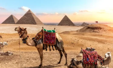 Tagestour Kairo von Marsa Alam