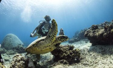 Sharm El Luli Schnorcheltour