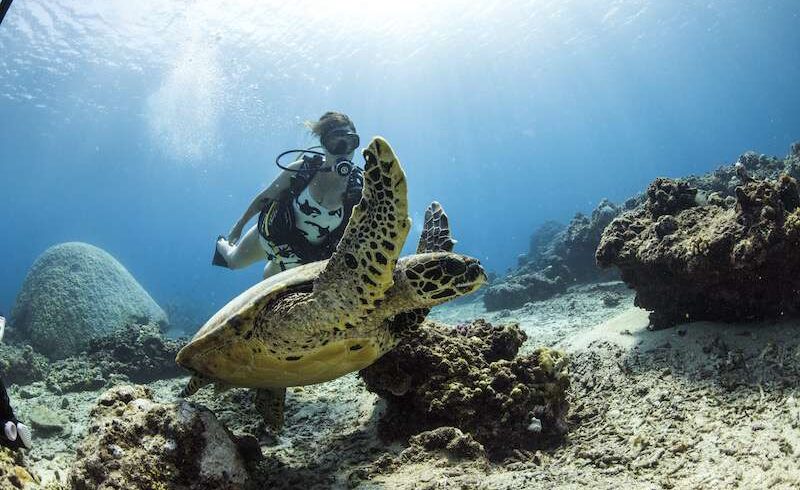 Sharm El Luli Schnorcheltour