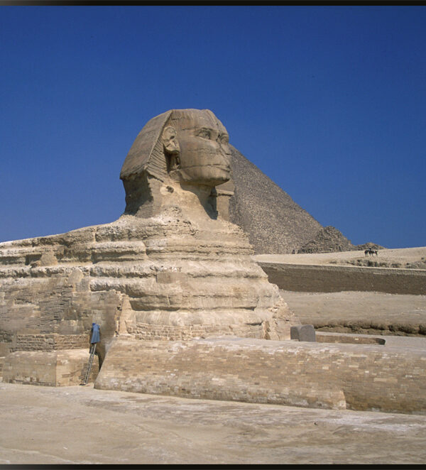 Tagestour Kairo von Marsa Alam